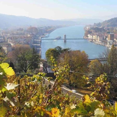 Appartement Vignes 2 Personnes Vienne  Extérieur photo
