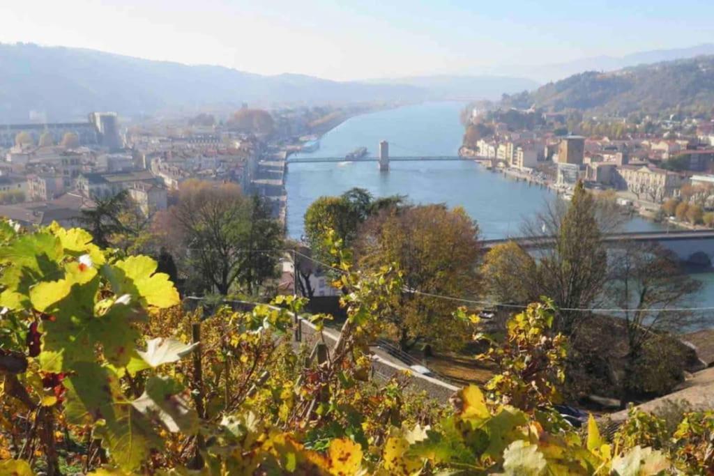 Appartement Vignes 2 Personnes Vienne  Extérieur photo
